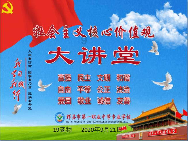 养宠物家庭适合哪种瓷砖?-有问必答平台